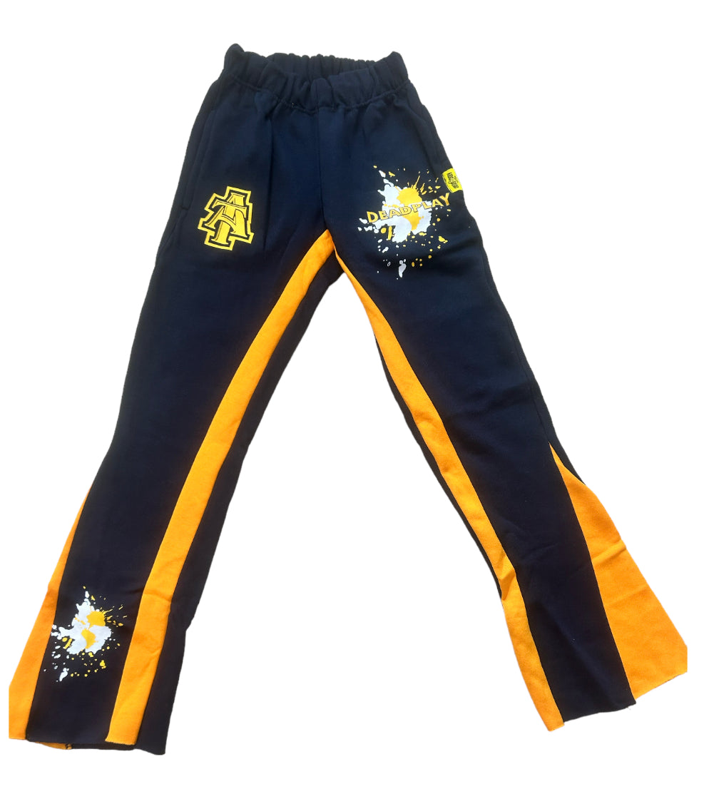 NCAT FLARES